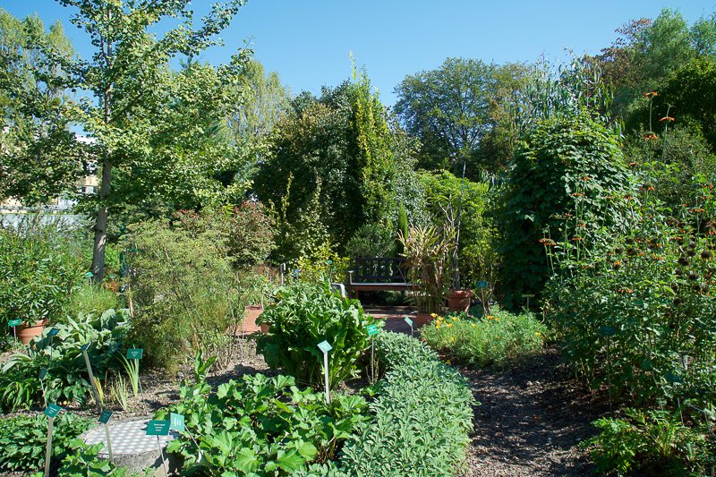 Apothekergarten im September