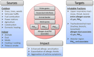 Particulates impacting human health
