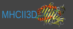MHCII3D - Structure based predcition of MHC II binding peptides
