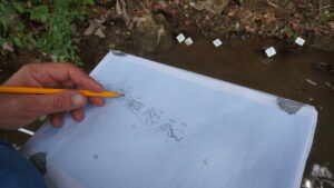 zeichnerische Aufnahme