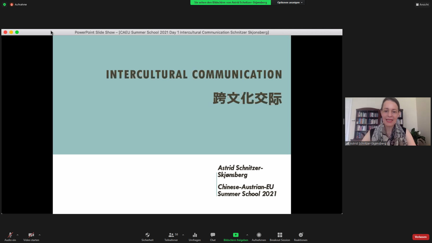 Intercultural Communication_Astrid Schnitzer-Skjonsberg