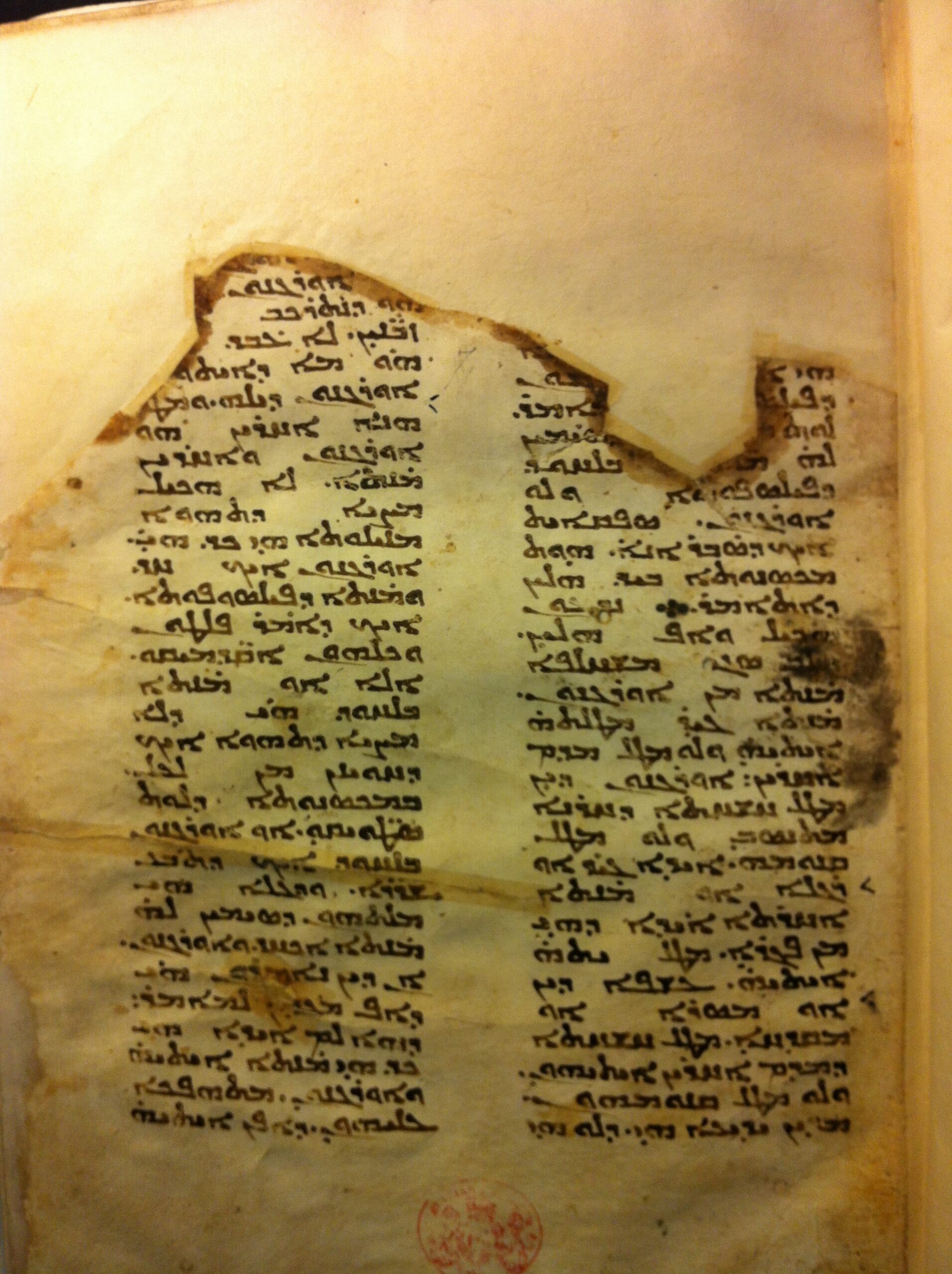 Ms BL Add. 14658 fol. 1r — das Anfangsfolio mit dem Kategorienkommentar von Sergios von Rešʿayna