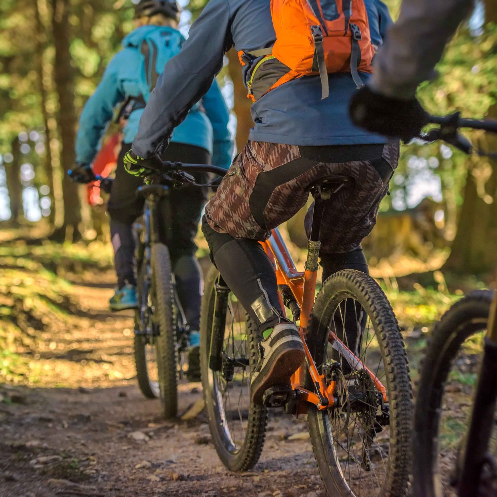 Mountain bikers riding through forest
