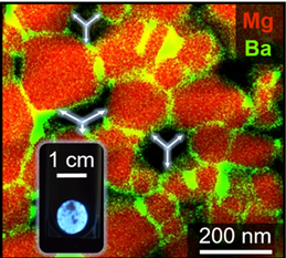 MgO host nanoparticles 