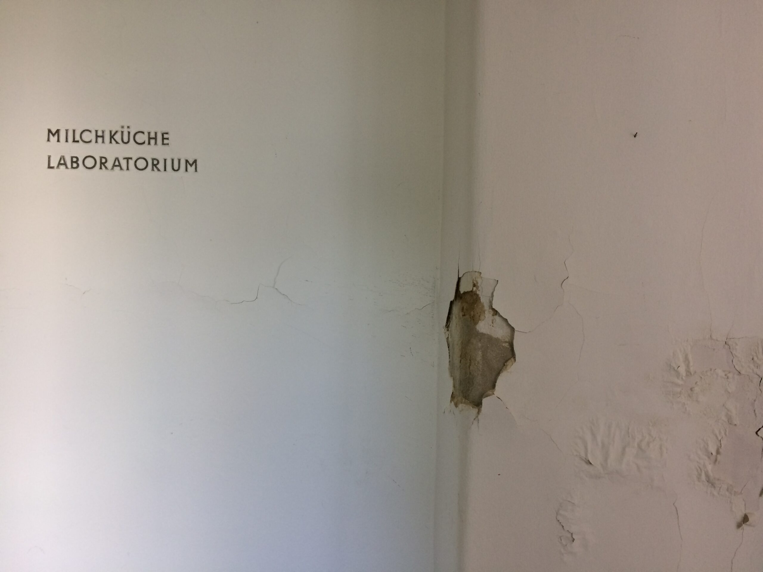 Irini Athanassakis: Frauenmilchbank, Semmelweisklinik, Mai 2019