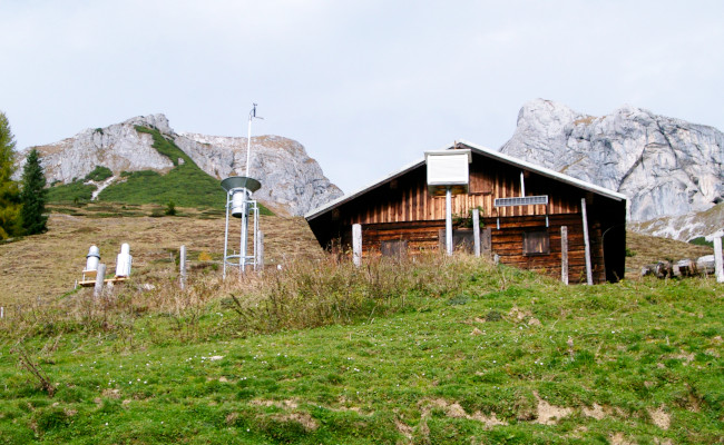 Foto Stadt- und Landschaftsökologie