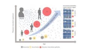 Paper Hofst&auml;tter