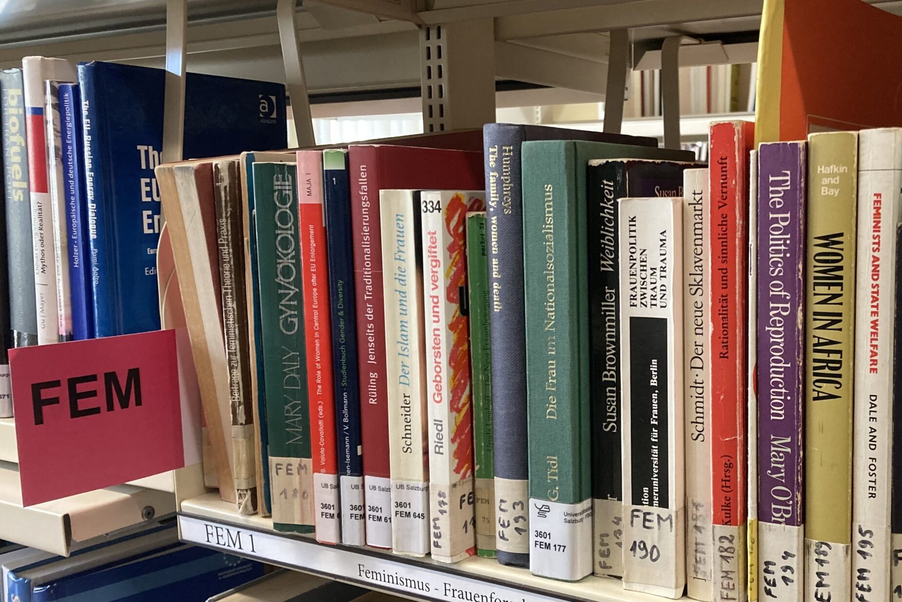 Foto Teilbibliothek Rudolfskai - Politik, Geschlecht und Diversität