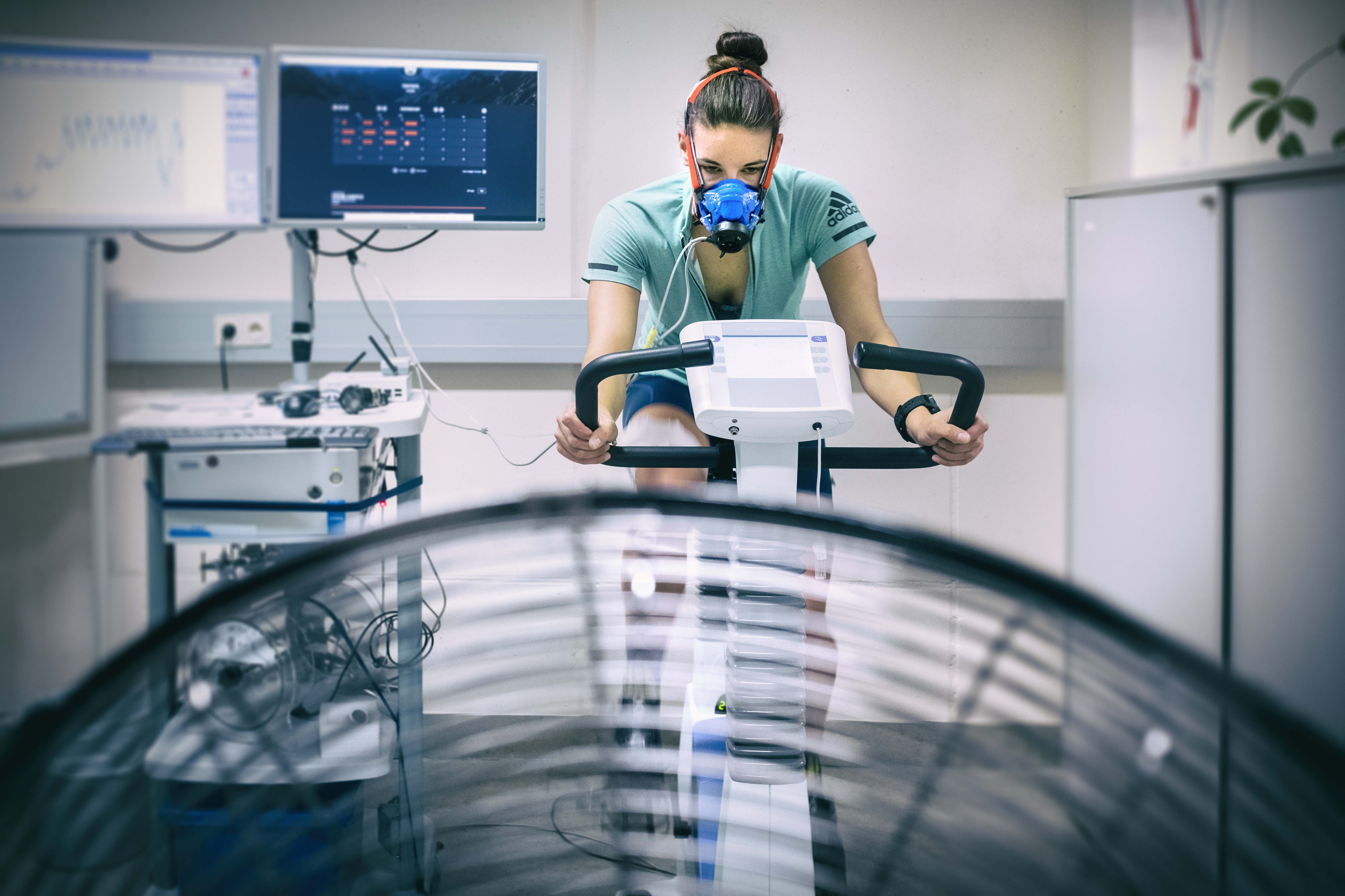 Ernährung, Bewegung, Gesundheit