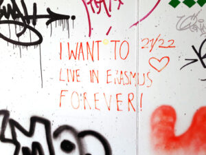 Graffito Salzburg Erasmus