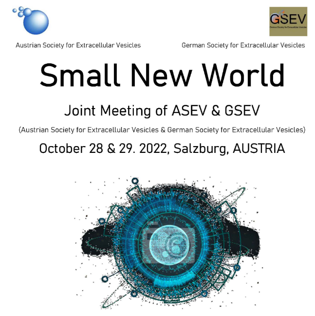 Logo: Small New World