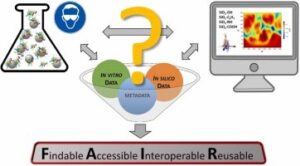 Graphical abstract Hasenkopf