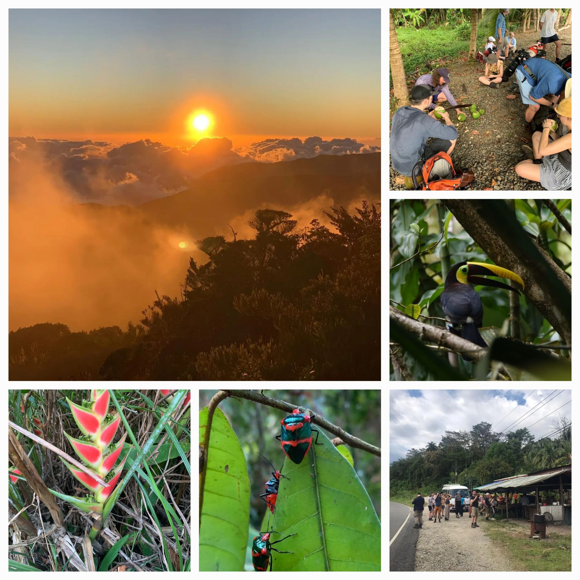 Collage Costa Rica