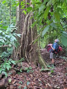 Costa Rica D&ouml;tterl