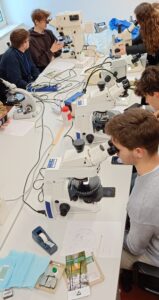 Studenten arbeiten mit die Petrographischen Mikroskopen