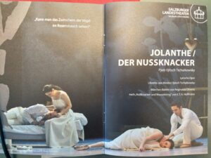 Auszug aus dem Programmheft