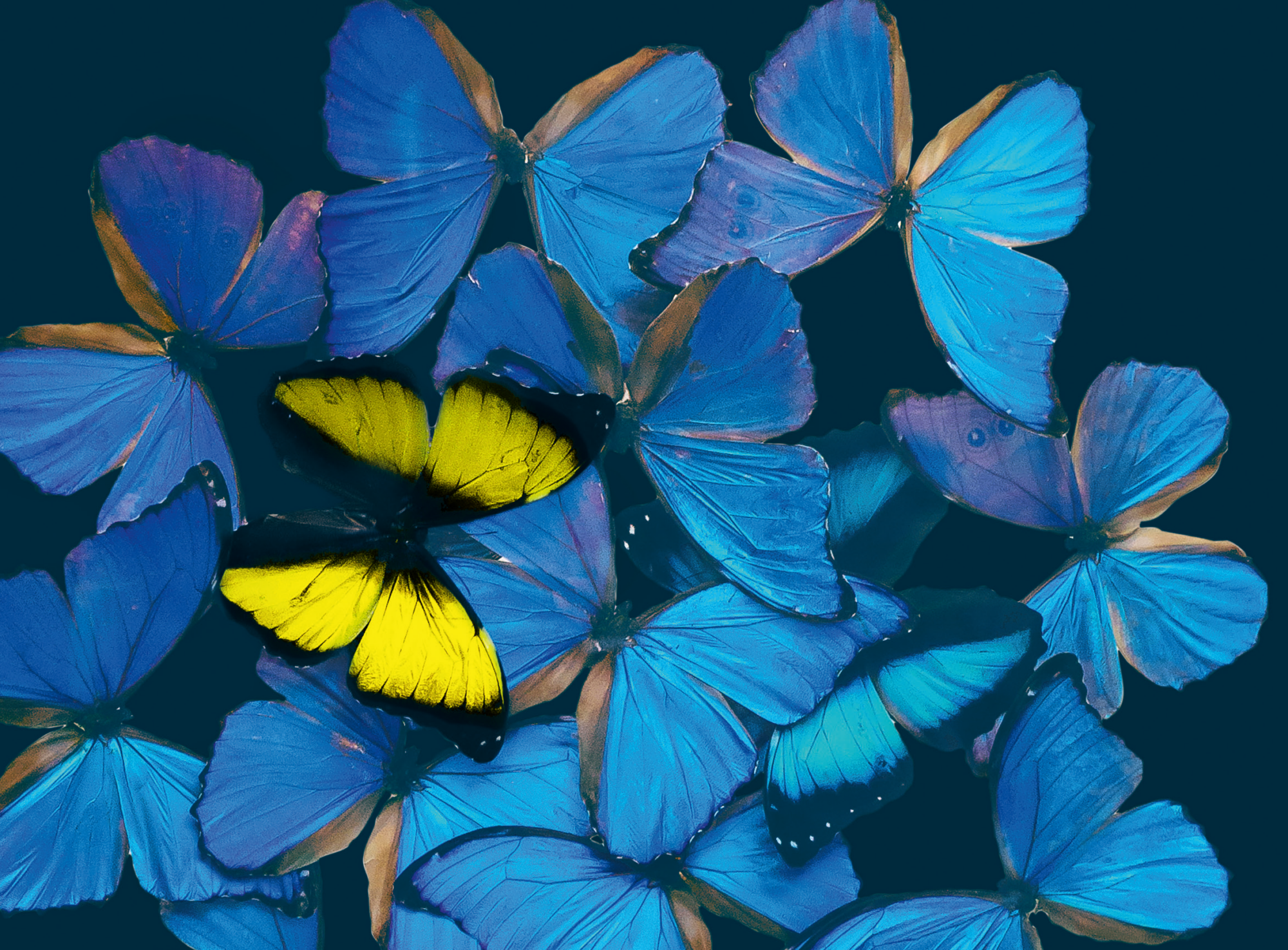 Lange Nacht der Museen | LNM 2023 | Sujet (Zuschnitt)