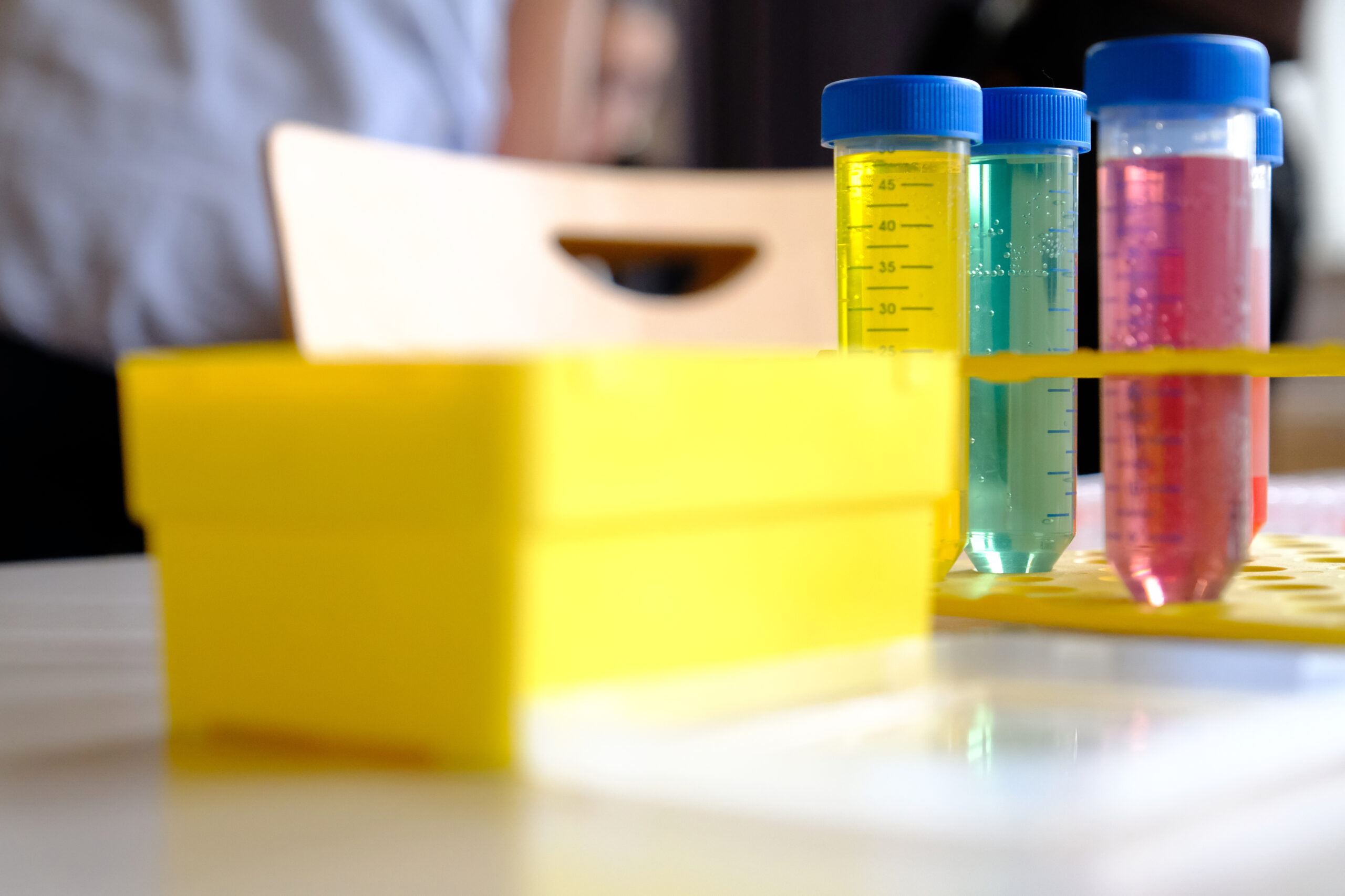 Hormone und Gehirn, wie arbeiten sie zusammen