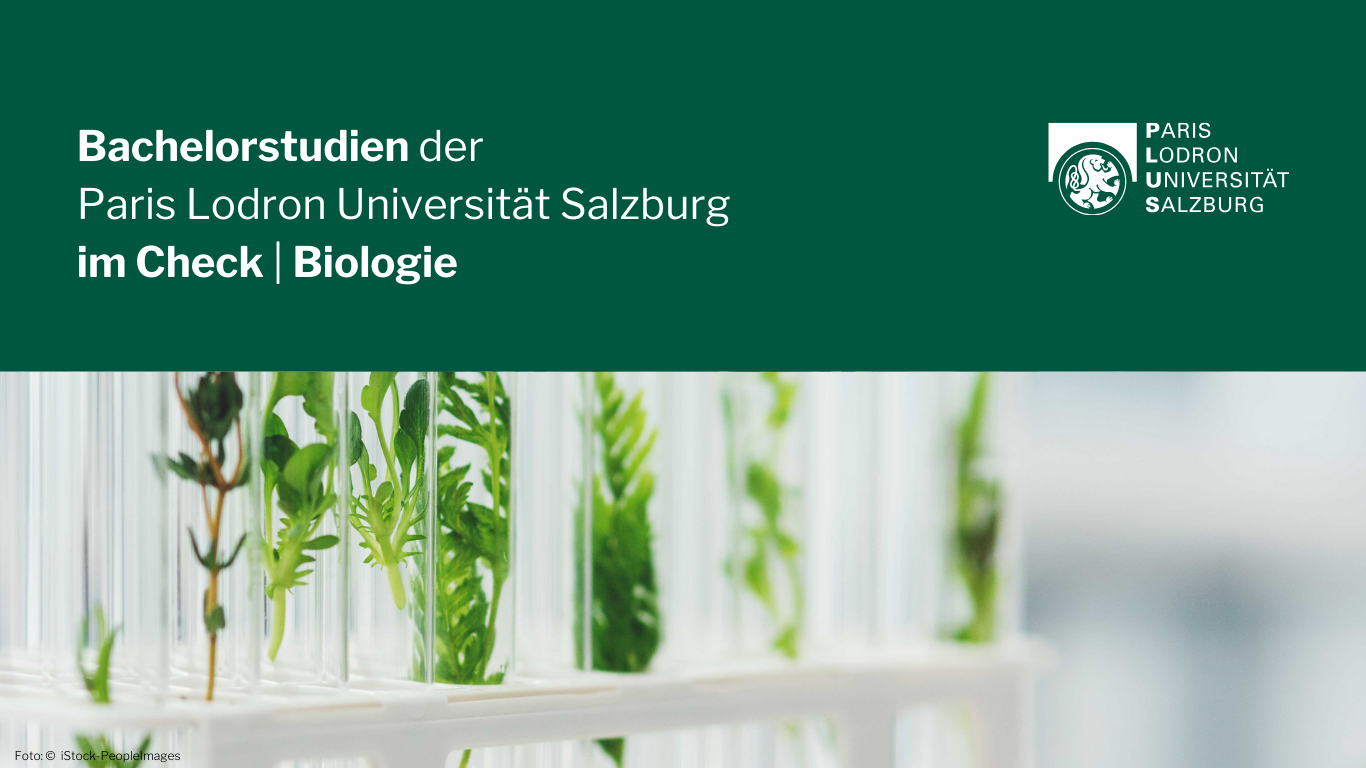 Bachelorstudium, Biologie in Salzburg studieren