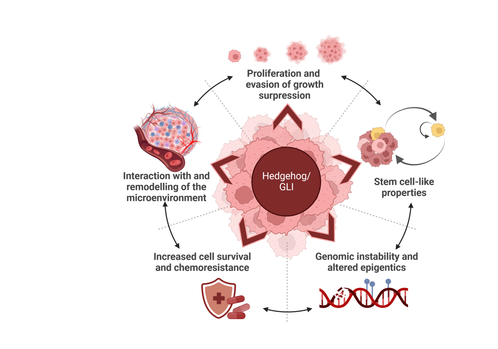 oncogenic Hedgehog Signaling