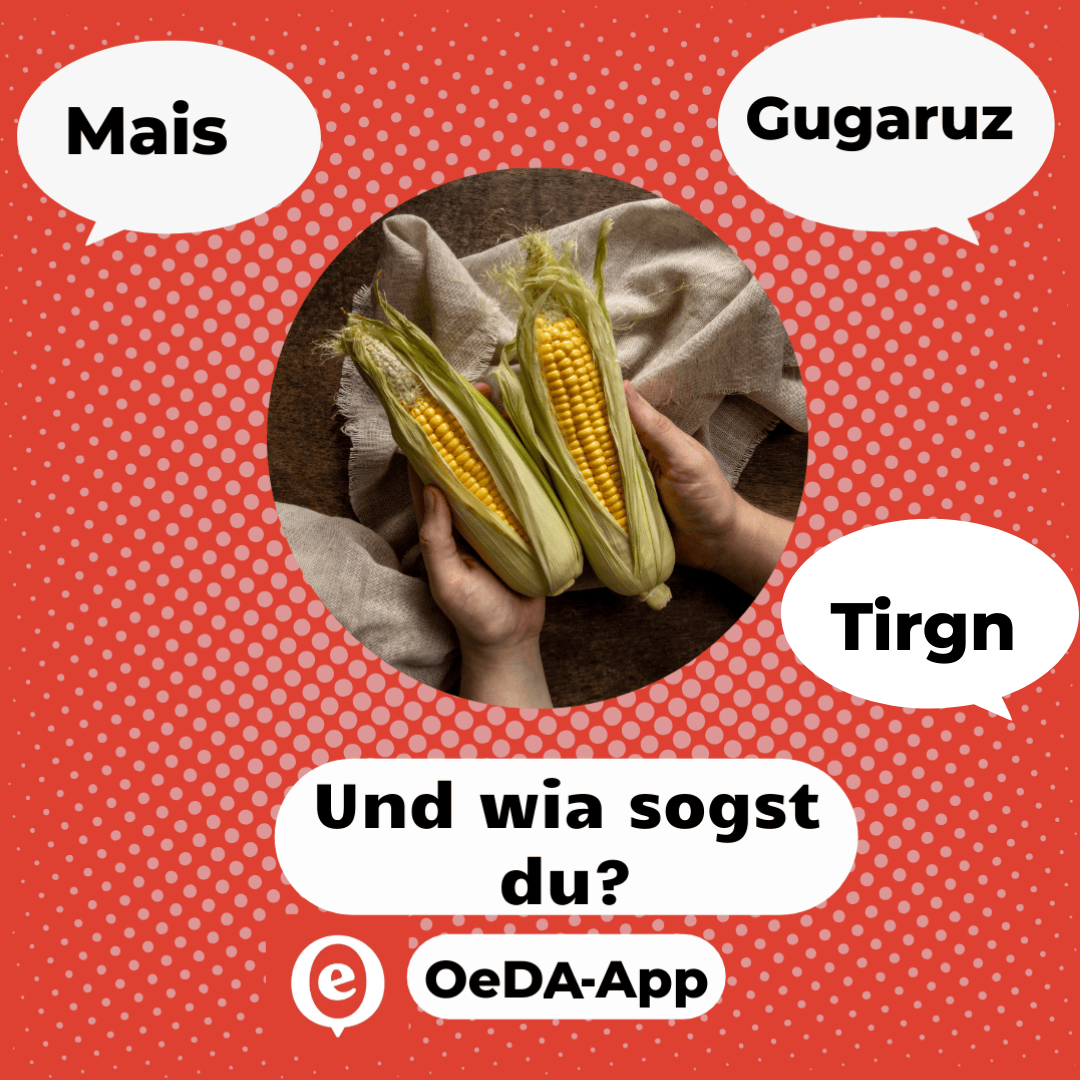 Dialekt App OeDA