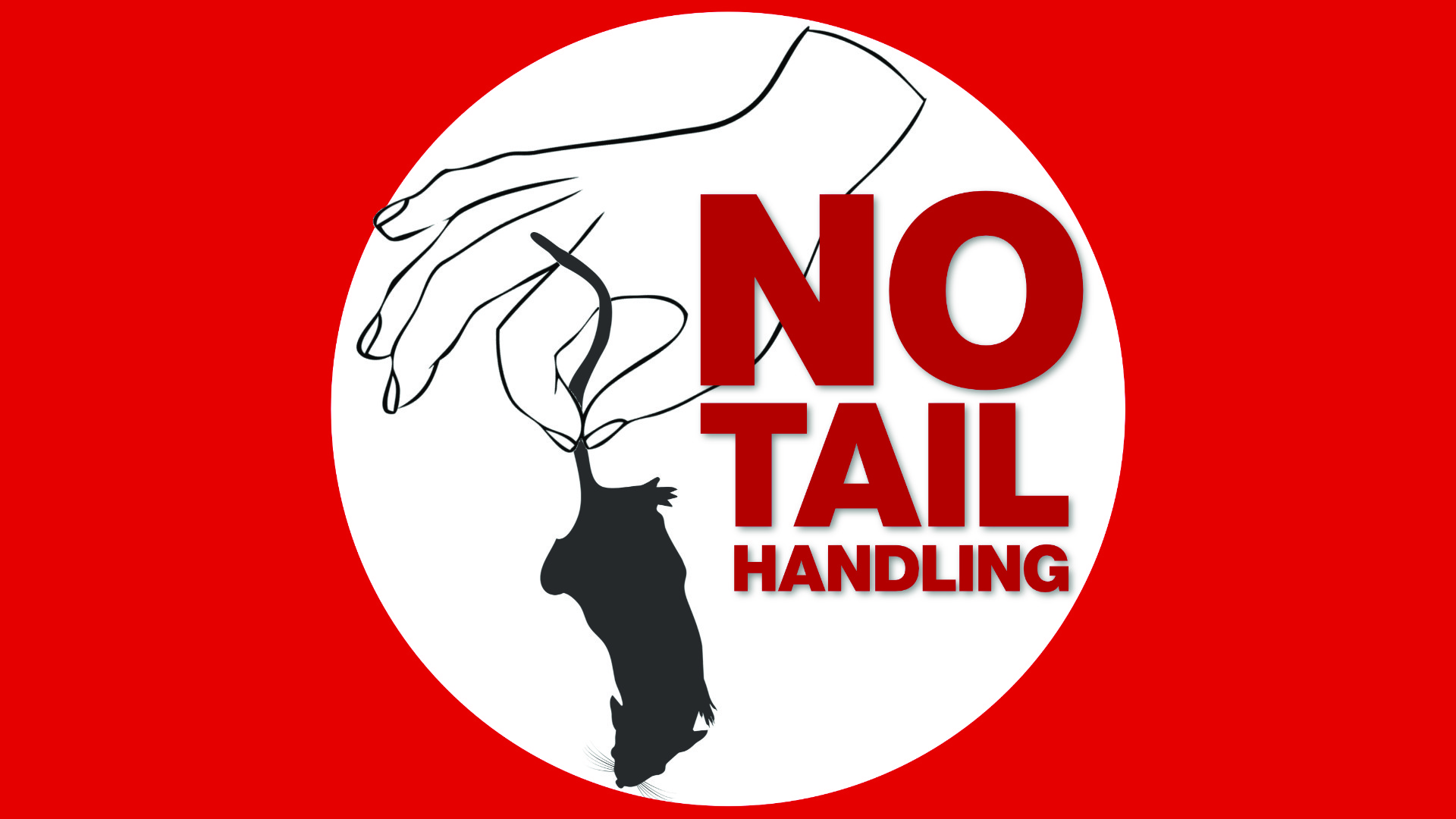 No Tail Handling