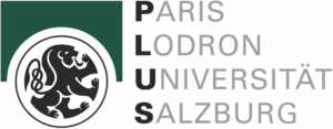 PLUS Logo Farbe