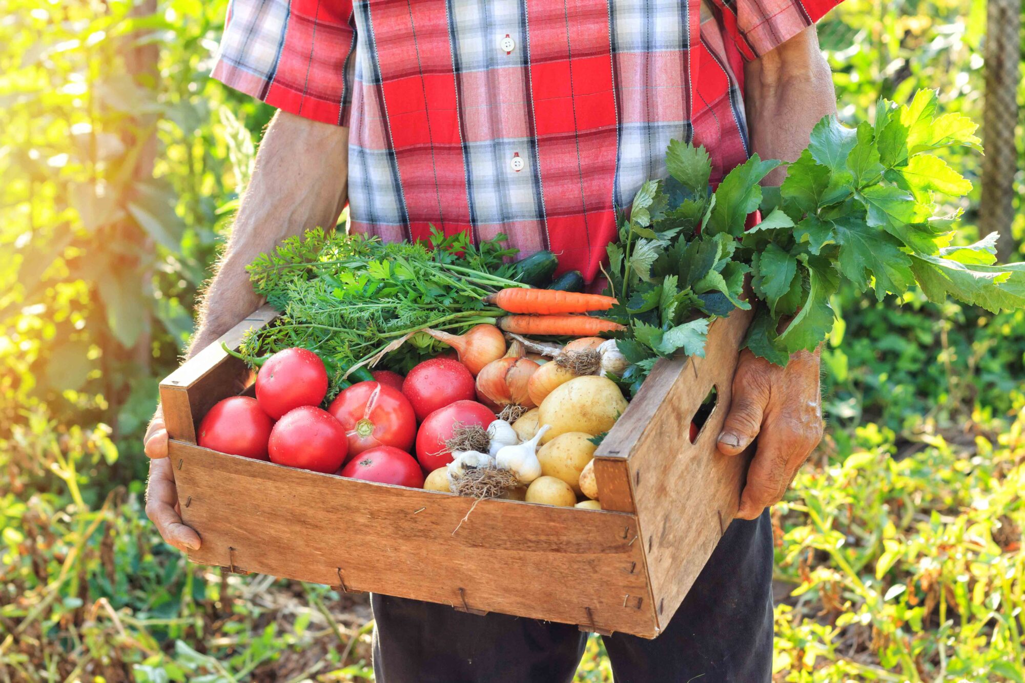 Kiste mit Obst und Gemüse