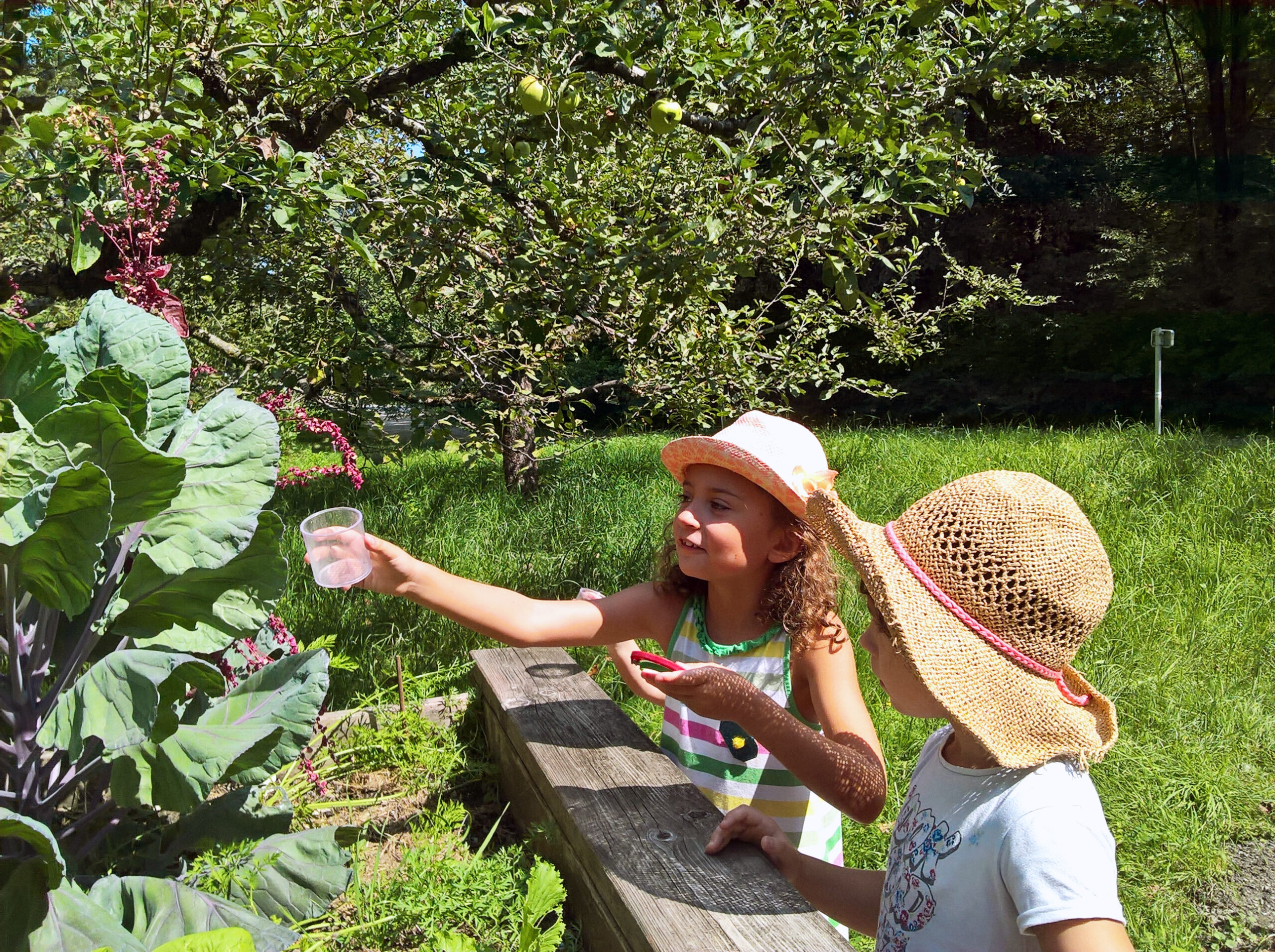 illustriert Sommerfeeling mit Kindern