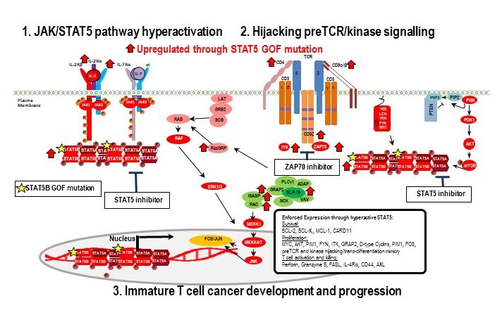 Pressemeldung Moriggl_NEU