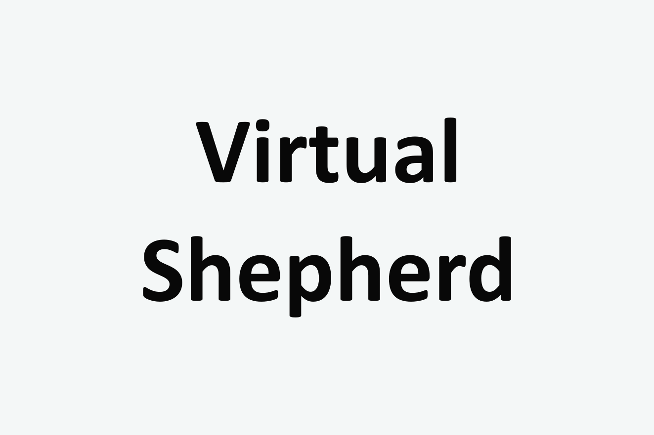 Virtual Shepherd