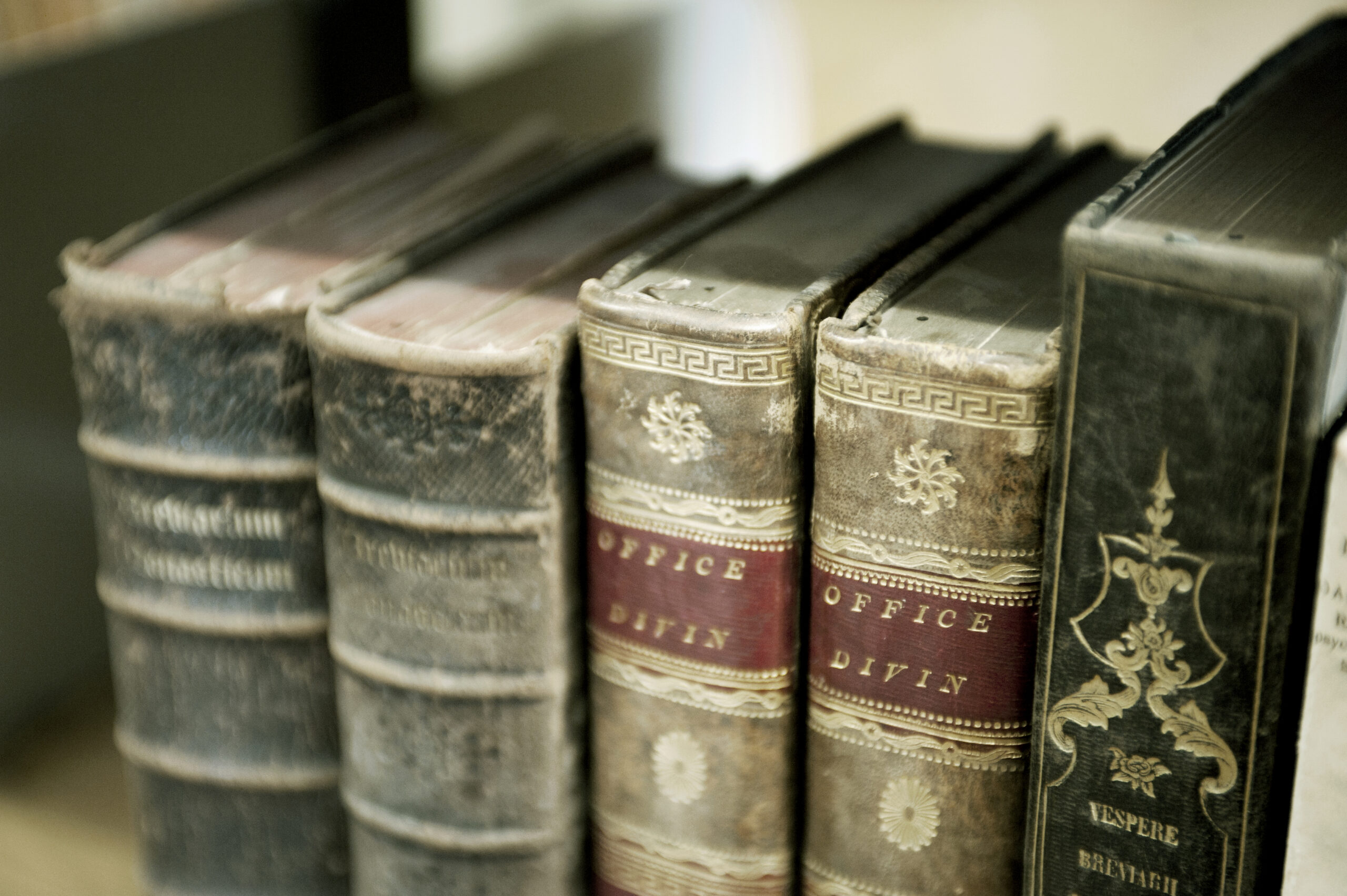 Fotos: &copy; Luigi Caputo