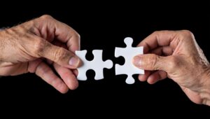 Is it compatible? Hands with 2 pieces of puzzle