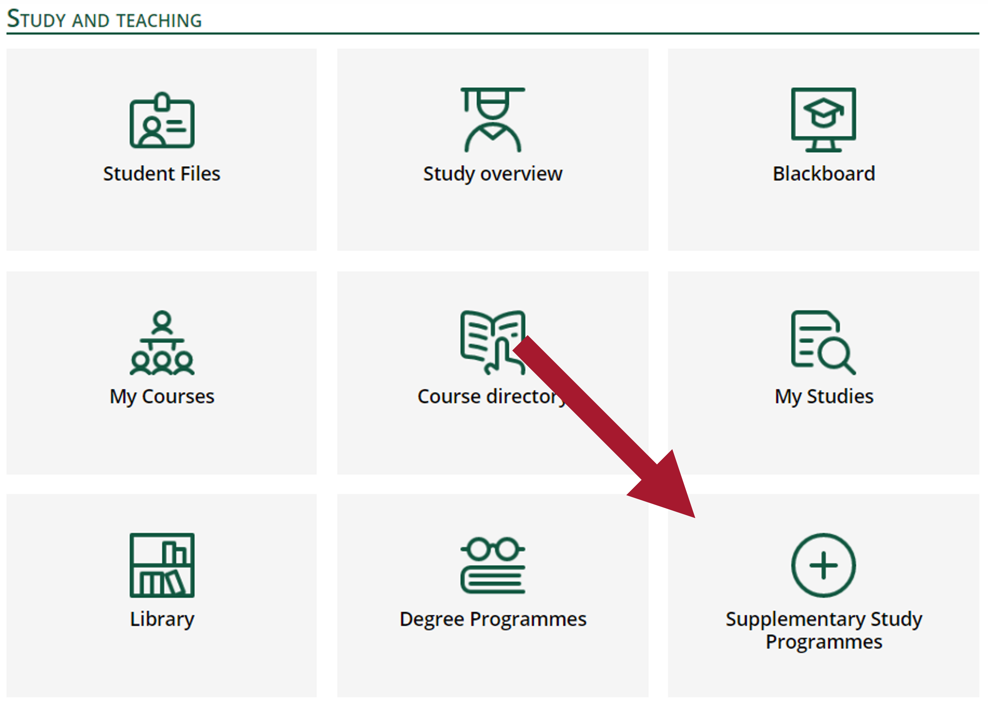 study_and_teaching -> supplementary study programmes