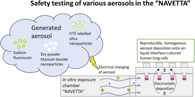 Graphical abstract Weiss& Punz