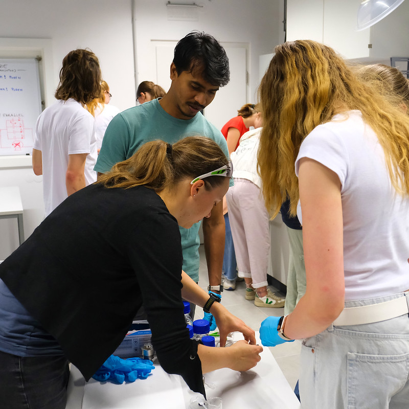 Schüler*innen forschen an der Universität Salzburg