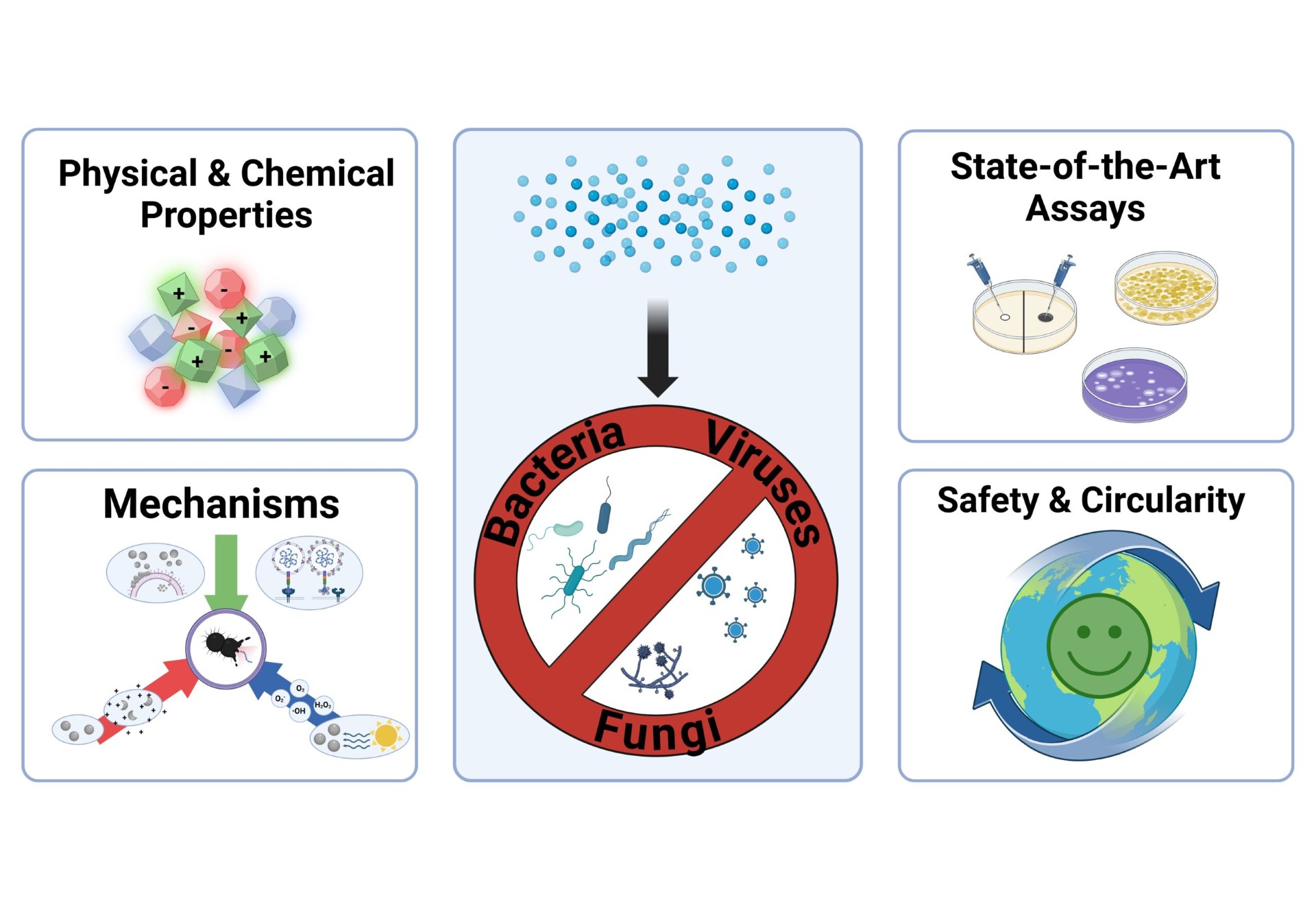 Graphical abstract - Punz Maerz 2025