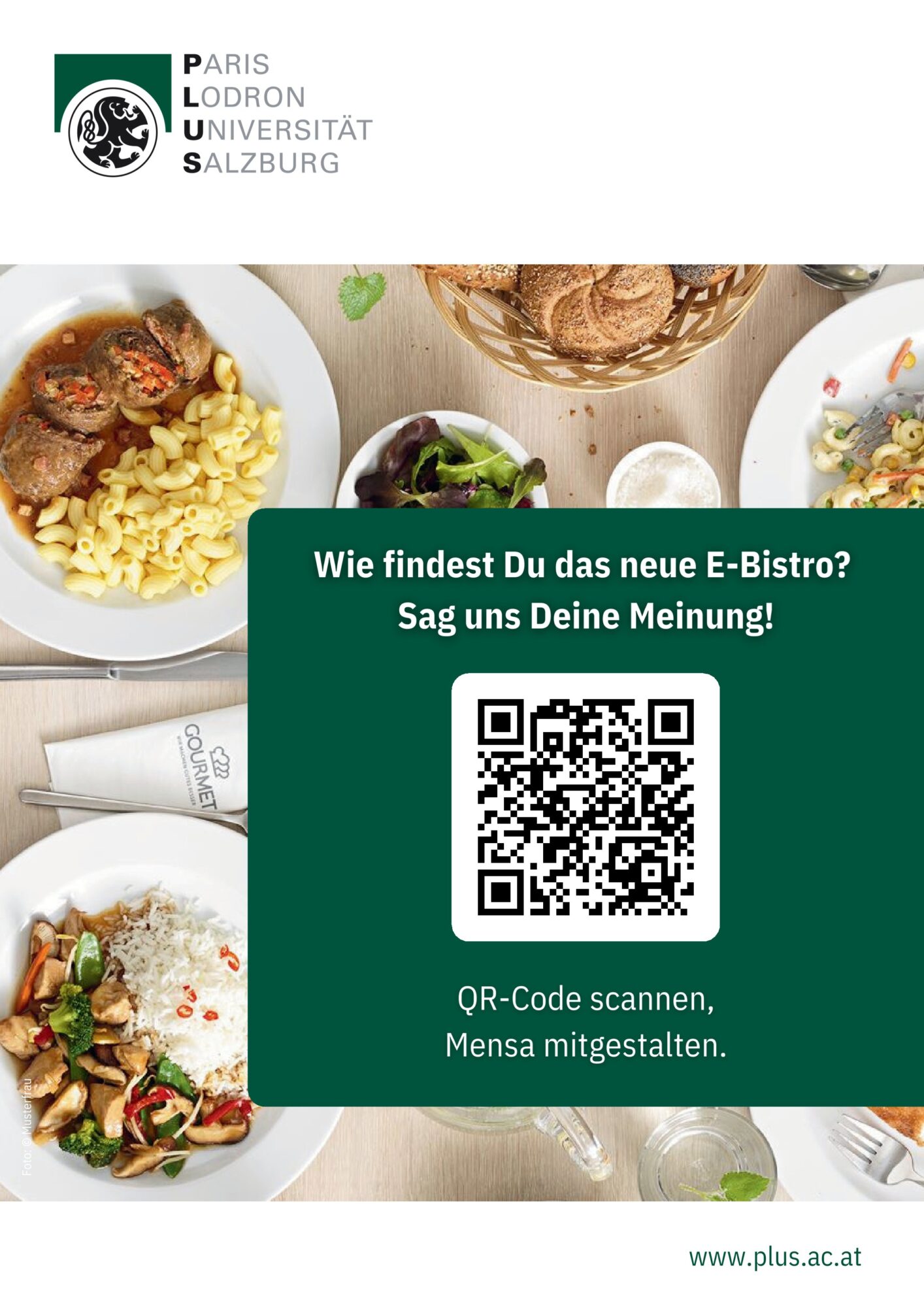 Plakat E-Bistro Evaluierung