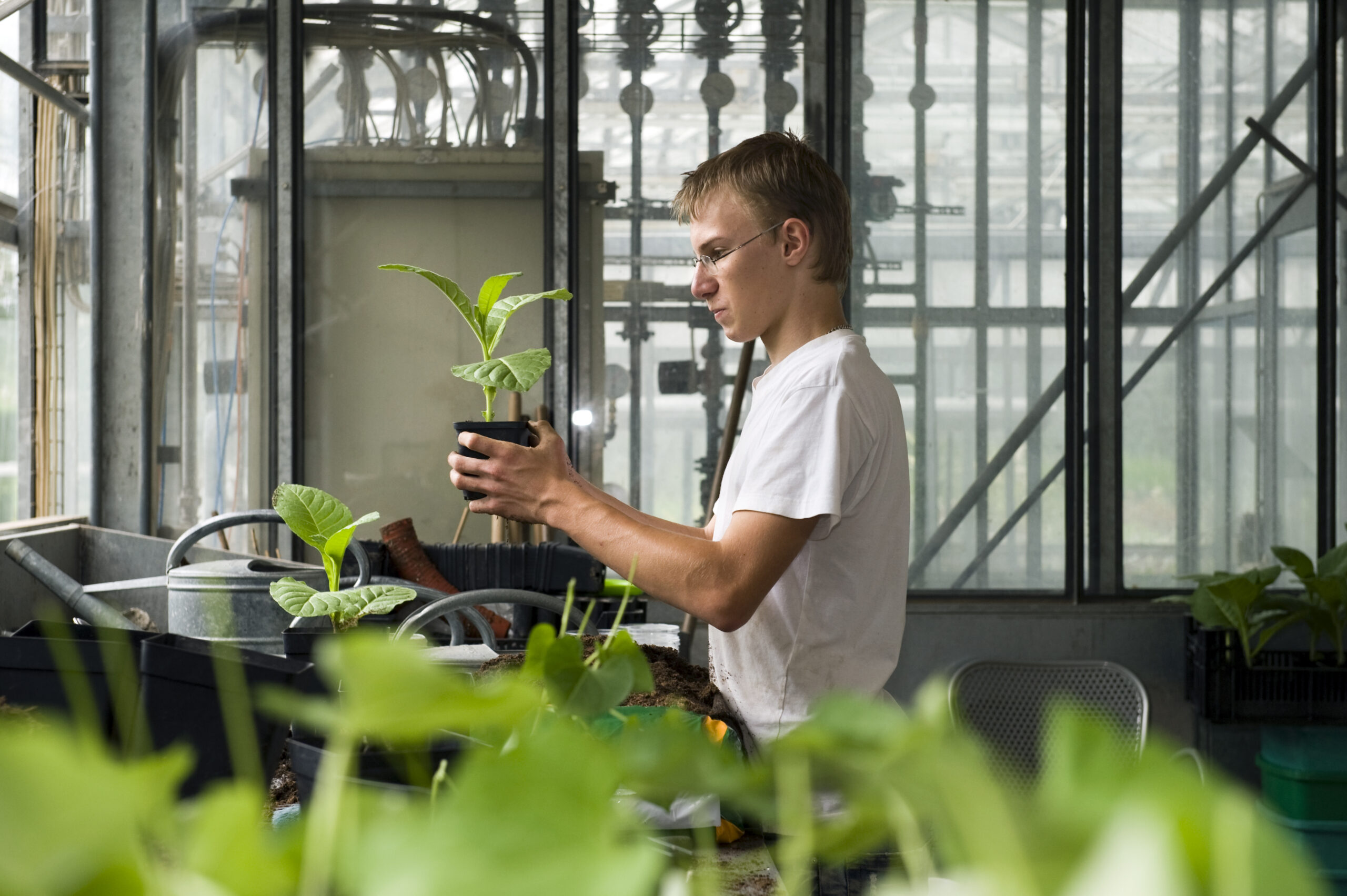 Lehre im Botanischen Garten