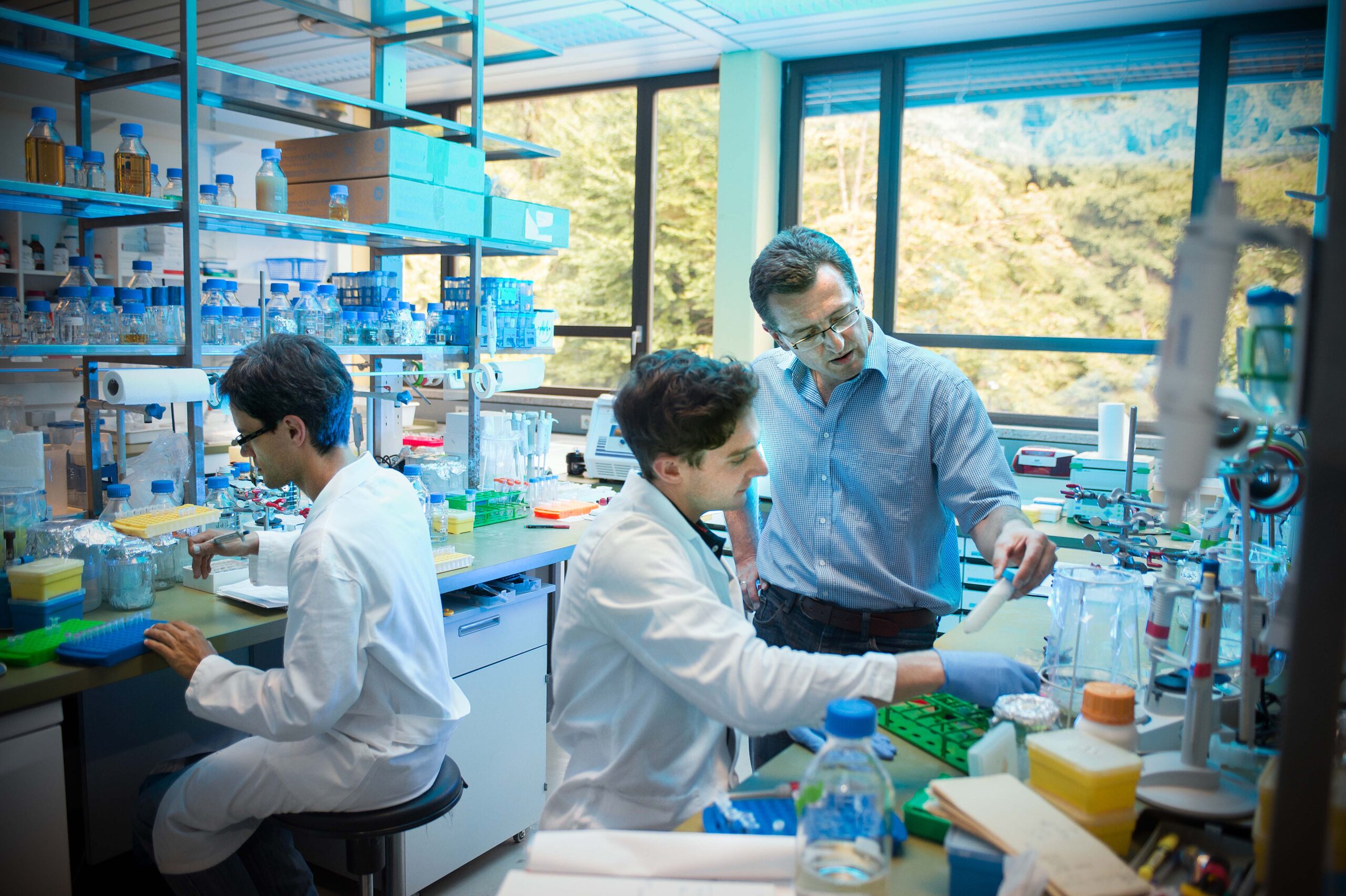 Führung mit Weitblick