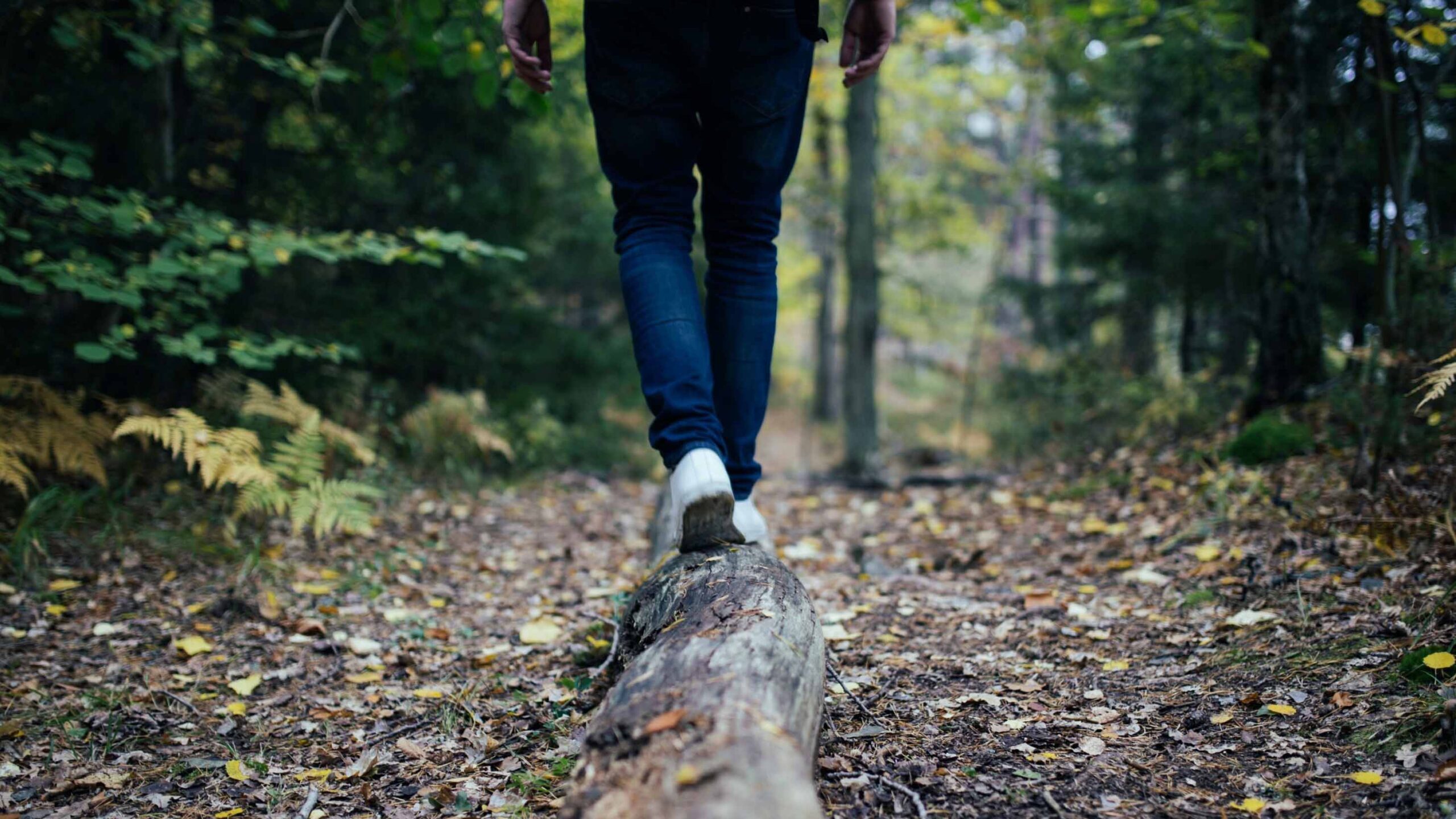 Bild einer Läuferin im Wald