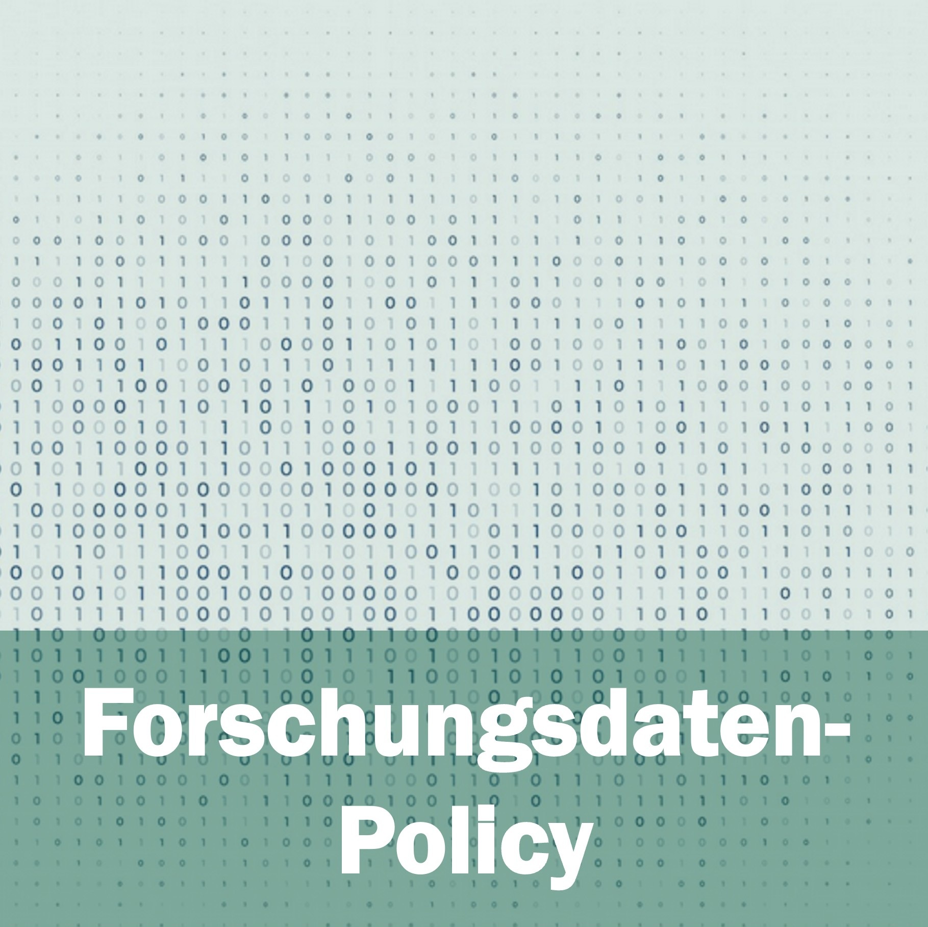 Forschungsdaten-Policy