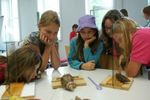 workshop mit Schnecken