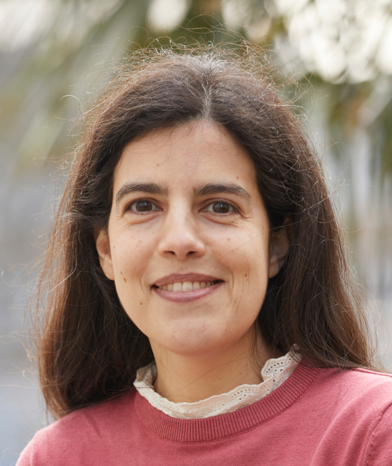 Bild von Margarida Hermida