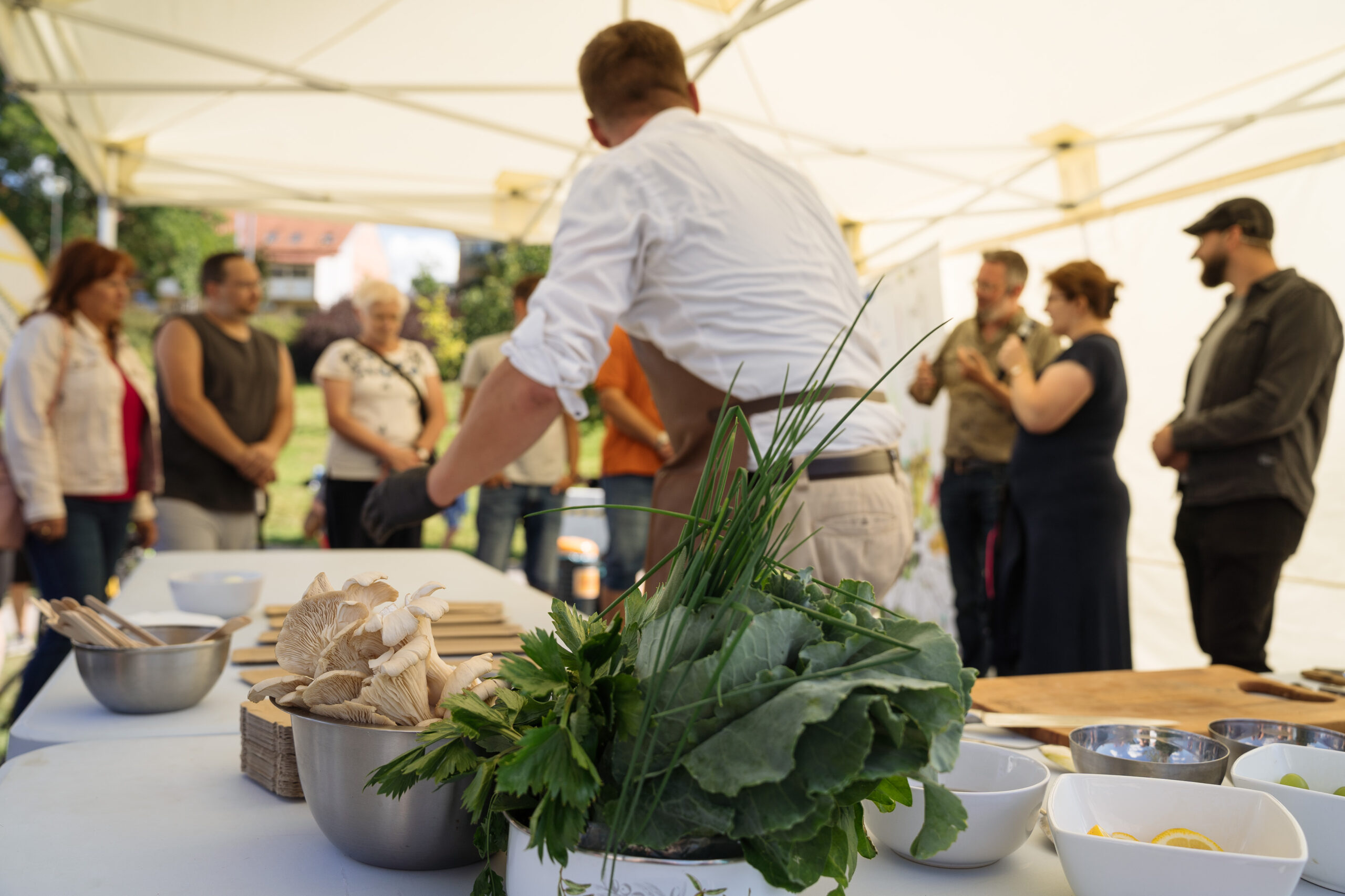 Projektevent mit Zisterzienserrezepten in Žďár nad Sázavou, CZ