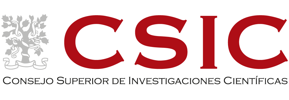 csic logo