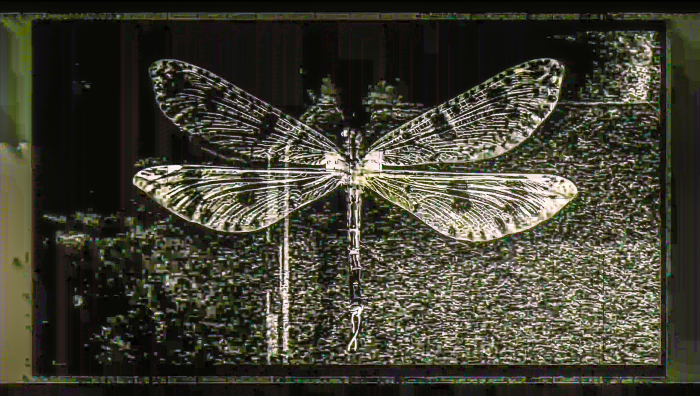 bildschirm mit verfremdetem bild einer libelle