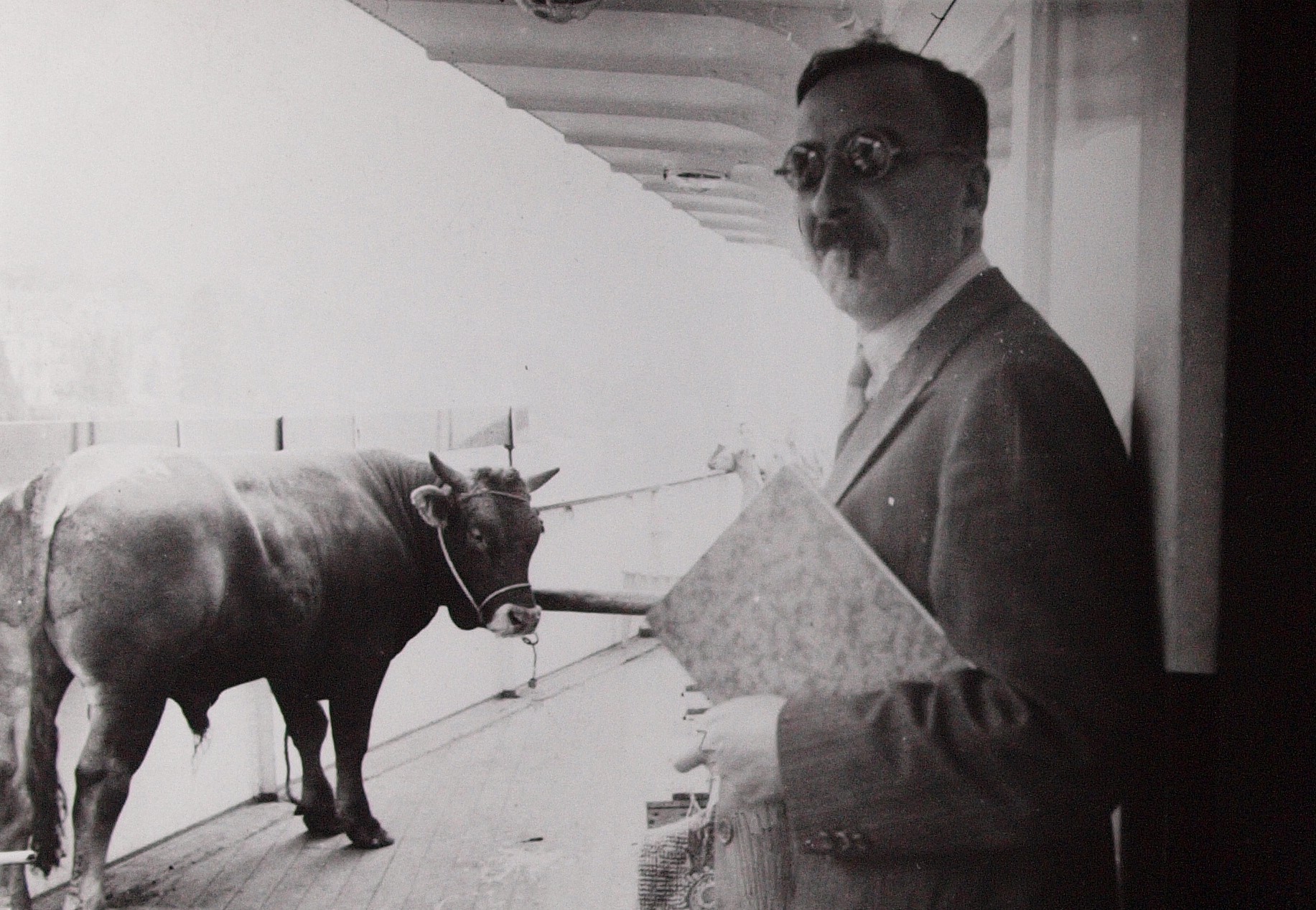 Stefan Zweig und Stier