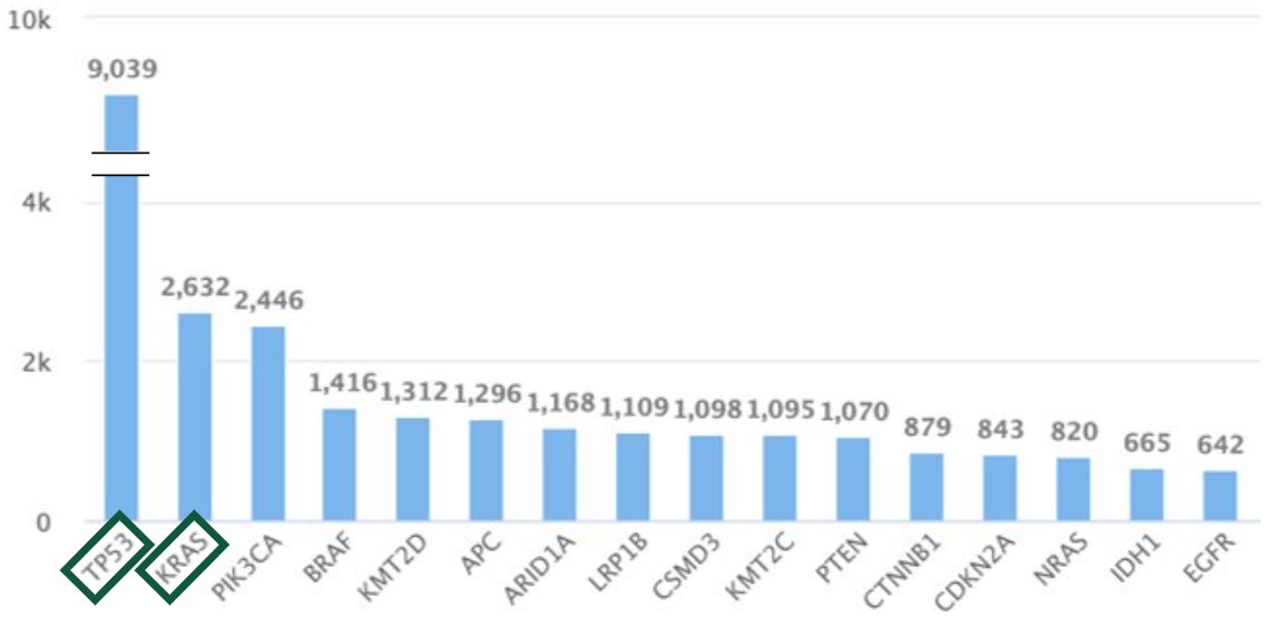 A table showing the most prolific mutations in cancer.