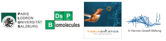 Logobalken Winterschool